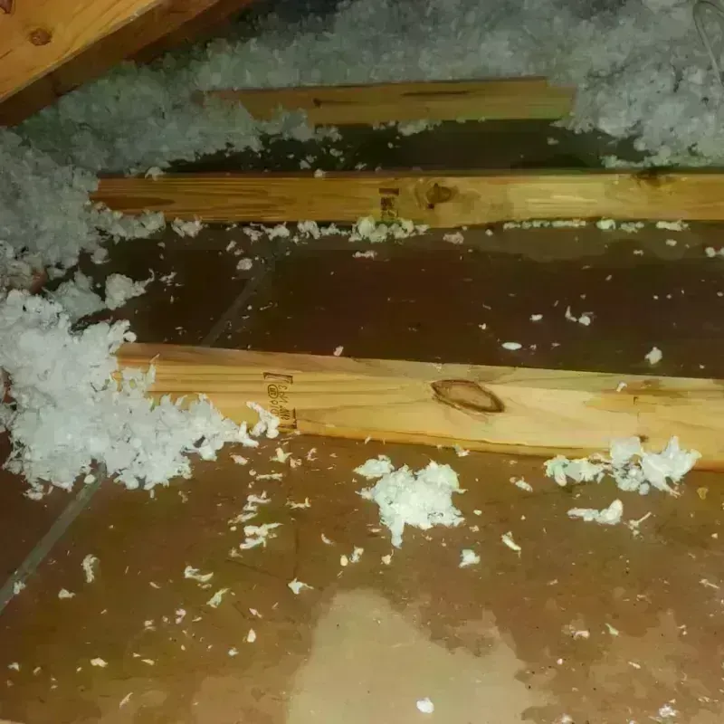 Attic Water Damage in Tilden, TX